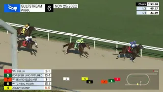 Gulfstream Park November 25, 2022 Race 6