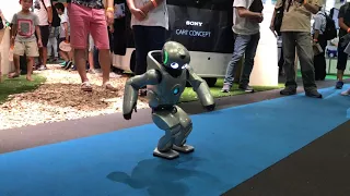 The Dance of Humanoid Robot by SONY QRIO at Robocup 2107