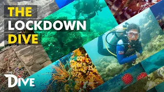 The Dive Lockdown Episodes