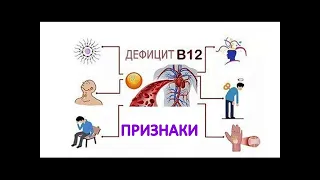 ДЕФИЦИТ витамина В12: СИМПТОМЫ. Жить ЗДОРОВО. Елена Малышева / Фролов Ю.А.