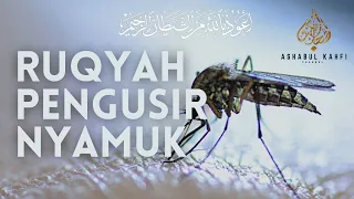 Ayat Pengusir Nyamuk Di Dalam Rumah Agar Nyamuk Pergi | Pengusir Nyamuk Paling Ampuh