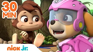 PAW Patrol Earth Day Rescues! w/ Skye, Tracker & Mighty Pups | 30 Minute Compilation | Nick Jr.