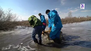 Вернулись домой. Добровольческая миссия завершилась в Кургане