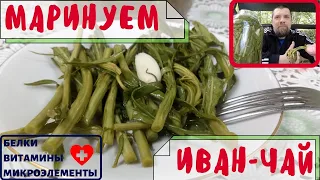 Маринуем Иван-чай, польза молодой зелени Иван-чая