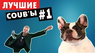 Самые лучшие Coub'ы недели!  #1 | Best COUB #1