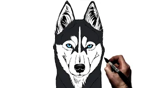 How To Draw a Husky | Step By Step