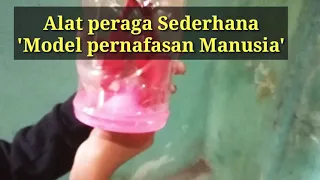 Alat PERAGA Sederhana Model pernafasan Manusia