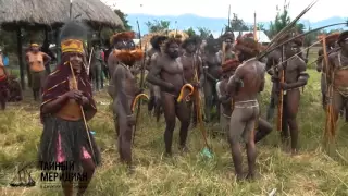 Baliem Valley Festival 2015