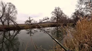 ОГО! ДА Сколько ее здесь, этой РЫБЫ ?!! Рыбалка на спиннинг.