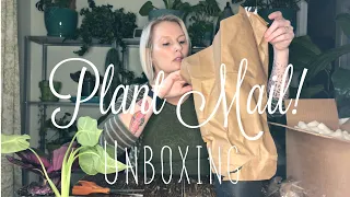 First Houseplant Unboxing | Pant Mail from Gabriella Plants & Tennessee Tropicals | Alocasia | 2020