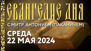 Среда, 22 мая 2024 года. Толкование Евангелия с митр. Антонием (Паканичем).