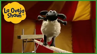 La Oveja Shaun 🐑 La oveja equilibrista 🐑 Dibujos animados para niños