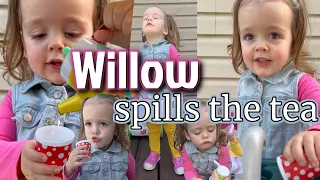 Willow's Diner: Spilling the Tea!