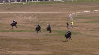 Horse Breaks Neck at Carolina Cup, 4/2/22