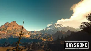 Days Gone Best start part 3