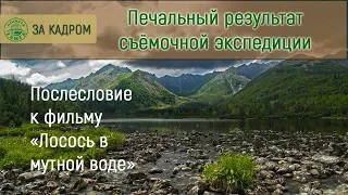 Послесловие к фильму «Лосось в мутной воде»