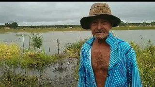 meu tio cuida e cultiva sua pequena terra ,aqui tem de tudo um pouco #vidanaroça #nortedeminas