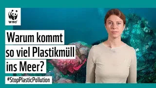 Warum kommt so viel Plastikmüll ins Meer? #StopPlasticPollution