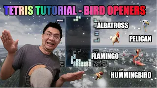 Tetris Tutorial - Bird Openers (Albatross, Pelican, Flamingo, Hummingbird)