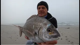 Massive Black tail...fishing with my daughters @ Strandfontein Broken Roads