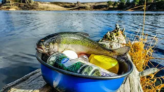 Lakeside Rainbow Trout Catch & Cook! - TOUGH Winter Fishing Day with BULLET LURE! (& Ned Rig)