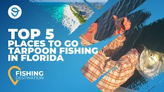 Tarpon Fishing in Florida: An Angler's Guide | FishingBooker