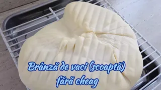 Cum să faci cea mai bună brânză de vaci fără cheag