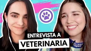 ¿Quieres estudiar medicina veterinaria y zootecnia?🦮Entrevista a Zuly la doctora de los animales 🐧