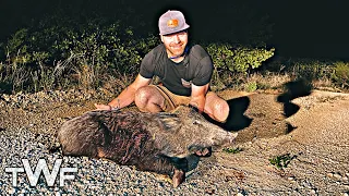 Hog Hunting Private Land In Palo Pinto Texas