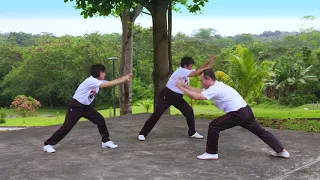 NWCDC 1568 Qigong Routine Yi Jin Jing 易筋經