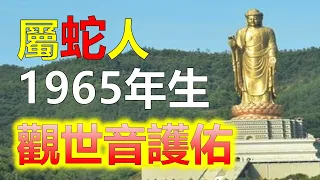 十二生肖1965年出生的屬蛇人，聰明而富有智慧。屬蛇人在婚姻和家庭中，屬蛇人一般都能夠保持和諧的關係，屬蛇人在年老以後，屬蛇人大多都能享有晚福且兒女孝順。1965年出生的屬蛇人，過於自我保護，不願冒險