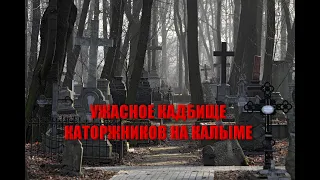 СТРАШНОЕ КЛАДБИЩЕ КАТОРЖНИКОВ ГУЛАГА НА КАЛЫМЕ/УНИКАЛЬНЫЕ НАХОДКИ И ЗАХОРОНЕНИЯ НА УЖАСНОМ КЛАДБИЩЕ