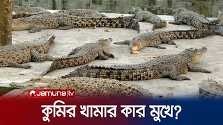 কুমির খামার কার মুখে? | Investigation 360 Degree | Crocodiles Farm | Jamuna TV