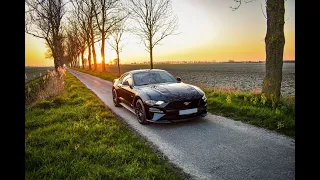 Videotour: 2021 New Ford Mustang GT 5.0 (1.000 km)