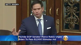 'Put The American People First': Florida GOP Senator Marco Rubio Urges Biden To Pass $2,000 Stimulus