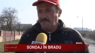 SONDAJ IN BRADU