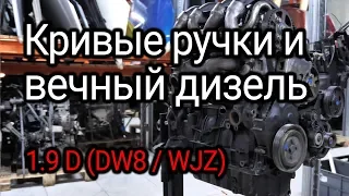 What knocks in a reliable, like Kalashnikov rifle, 1.9D engine for Peugeot and Citroёn? Subtitles!