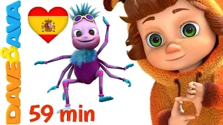 🎵 Itsi Bitsy Araña | Canciones Infantiles | Canciones Infantiles de Dave y Ava 🎵