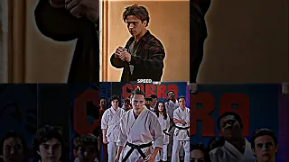 Robby S5 vs Hawk S5 | #shorts #cobrakai #edit