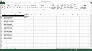 How to Sort a Name List by Same Names in MS Excel : Using Excel & Spreadsheets