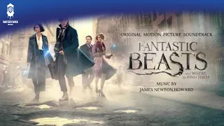 Fantastic Beasts and Where To Find Them Official Soundtrack | He's Listening To You | WaterTower