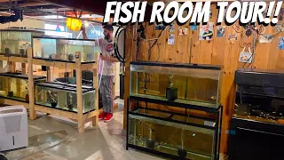 MAN TURNS BASEMENT INTO BREEDING FOR PROFIT FISH ROOM! *Tour*