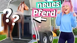 Ein NEUES PFERD am Rosenhof 🌹| ViktoriaSarina