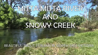 Mitta Mitta River and Snowy Creek - Beautiful trout streams in North East Victoria