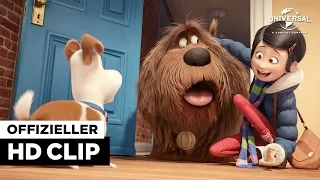 Pets - Clip HD deutsch / german