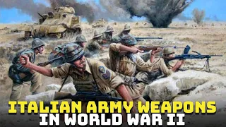 Italian Army Weapons in World War II