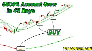 Most Effective mt4 Buy Sell Signal Indicator | 100% Profitable Scalping Trading Setup