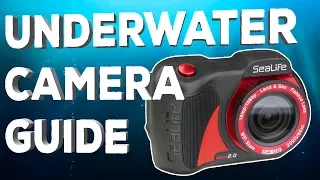 Underwater Camera Guide