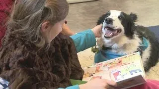 Kids read to dogs; improves their confidence