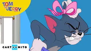 A Tom és Jerry-show | Tréfaháború | Cartoonito